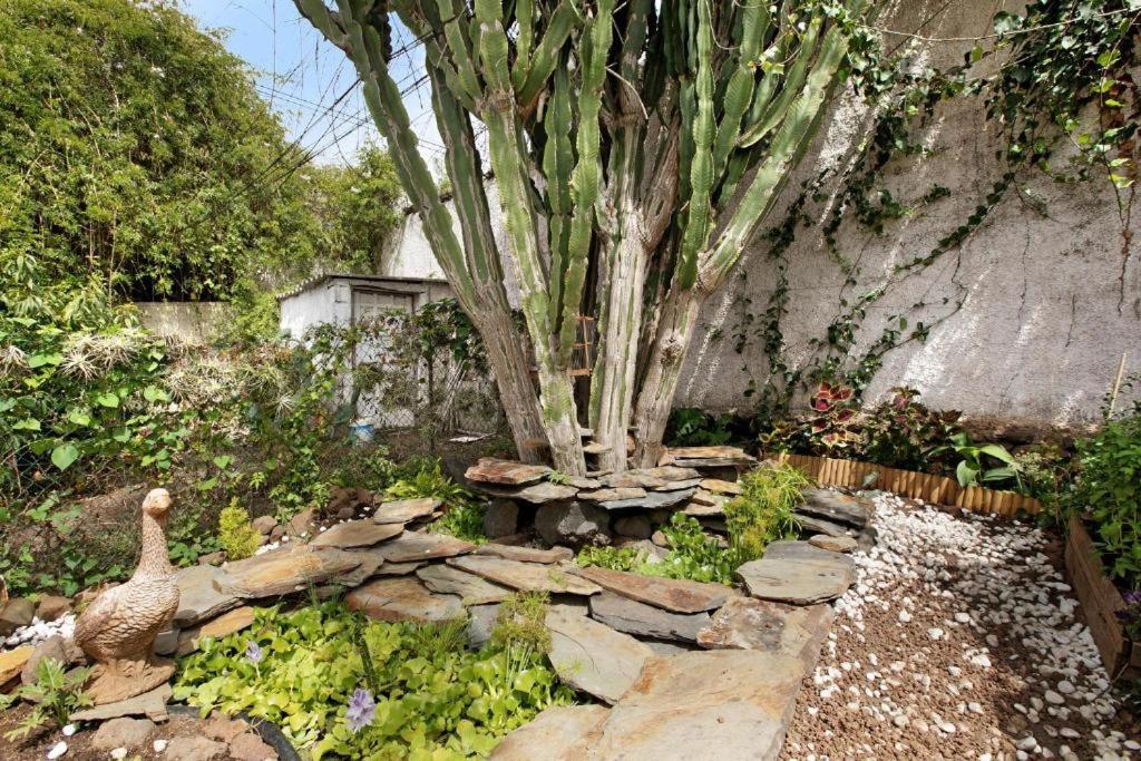 Villa Casa Con Jardin Tacoronte Exterior foto